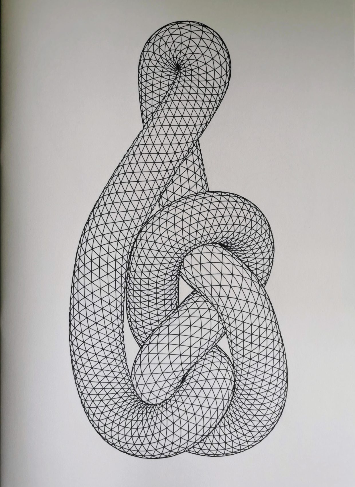 Knot #999068560