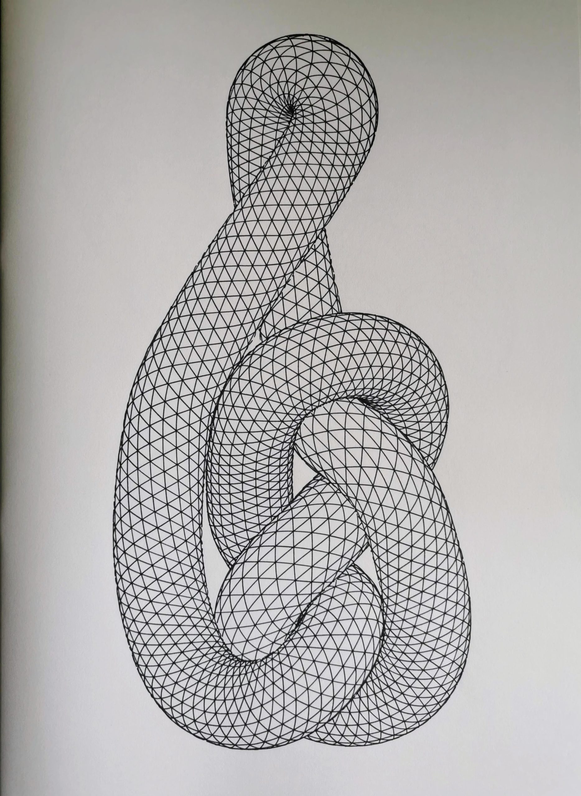Knot #999068560