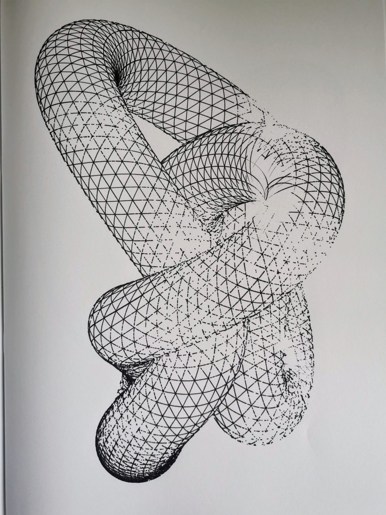 Knot #883738936