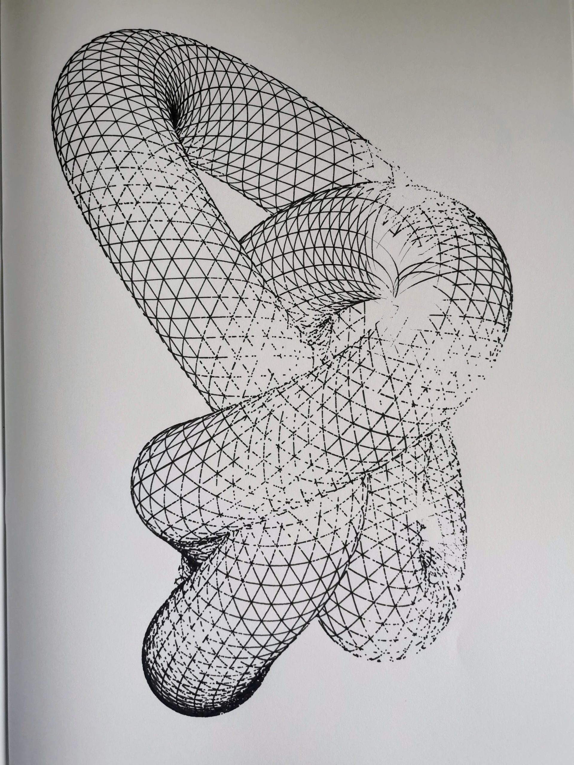 Knot #883738936