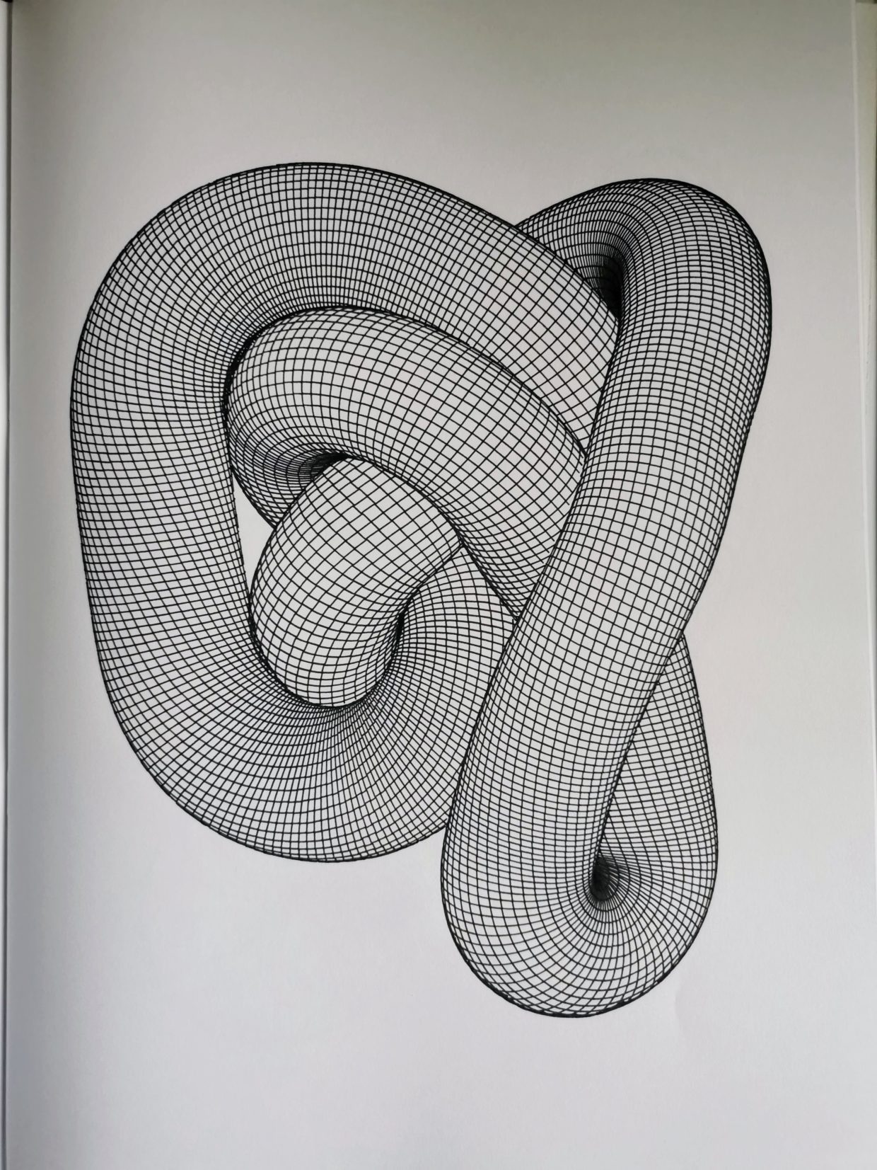 Squared Knot #310089160