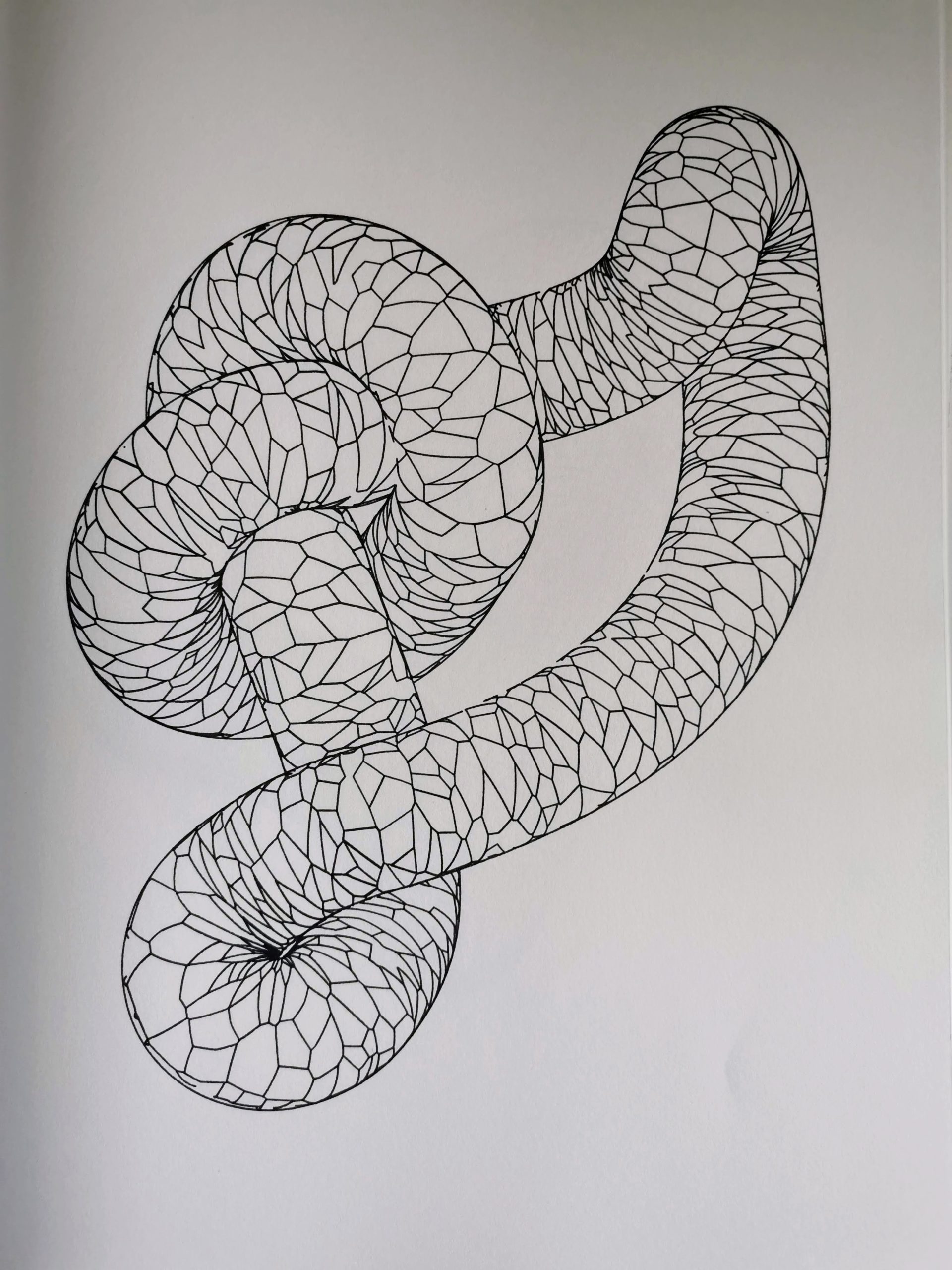 Voronoi Knot #519630188