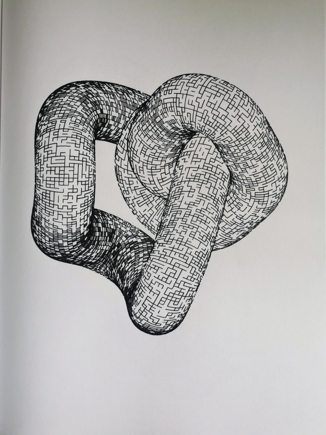 Knot #978486549