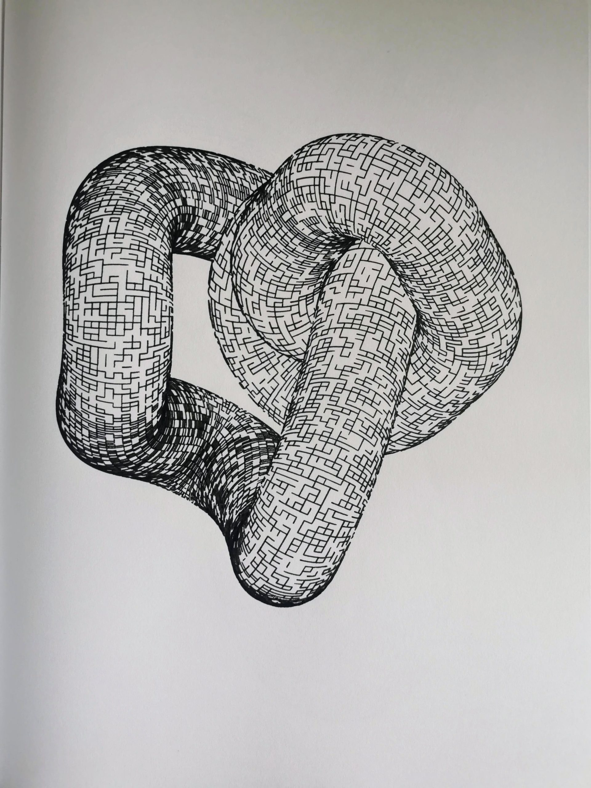 Knot #978486549