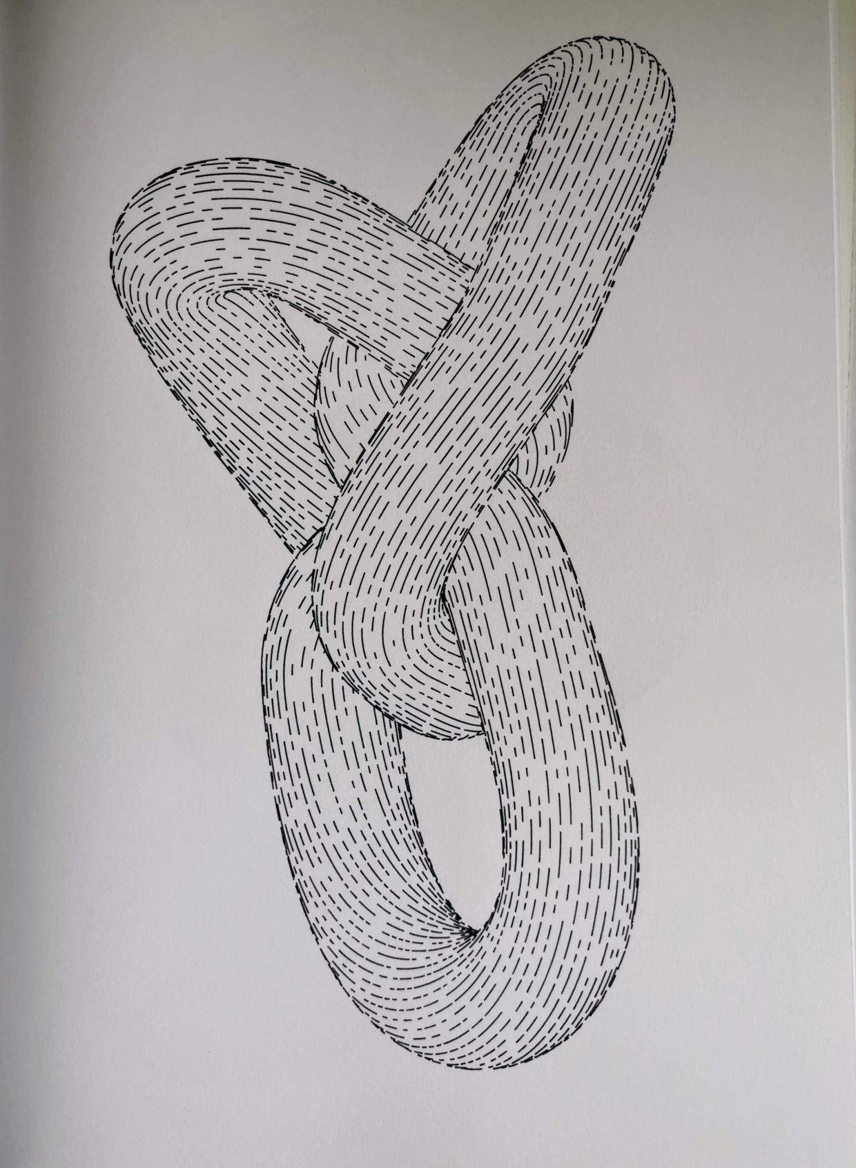 Knot #650411574