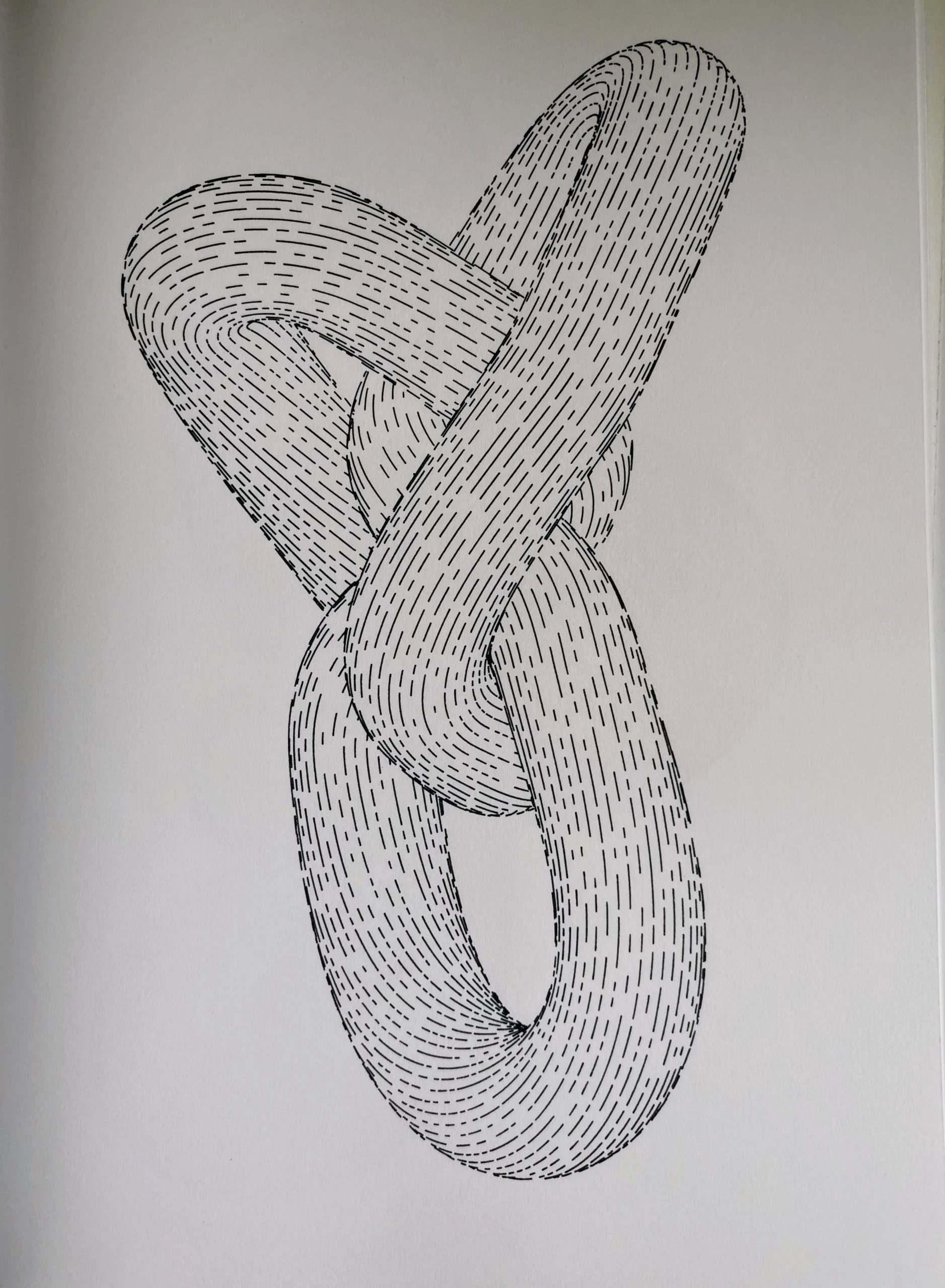 Knot #650411574