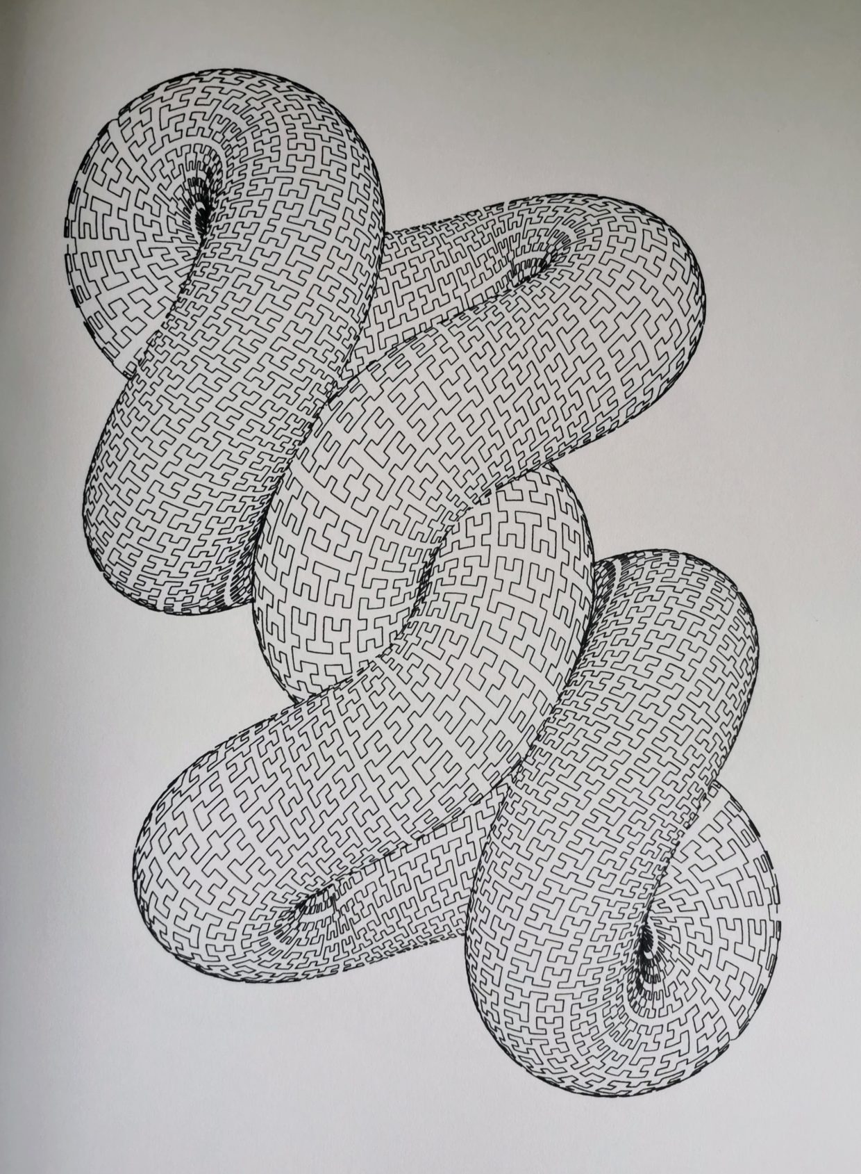 Hilbert Trivial Knot #607257703