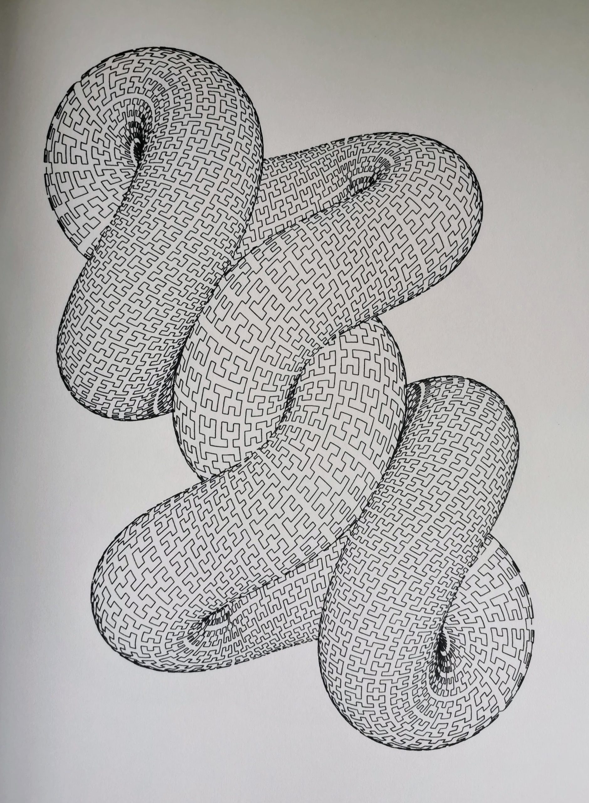 Hilbert Trivial Knot #607257703