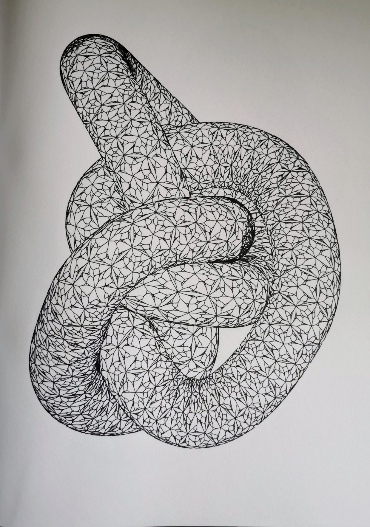 Lace Knot #664063013