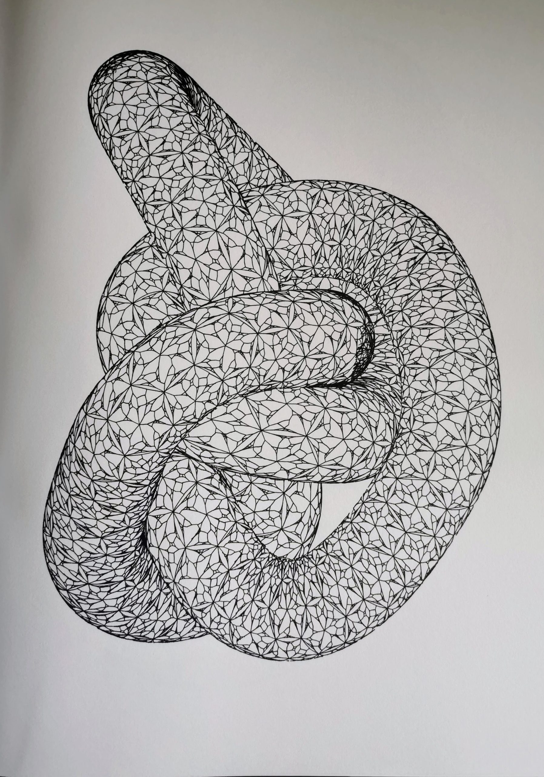 Lace Knot #664063013
