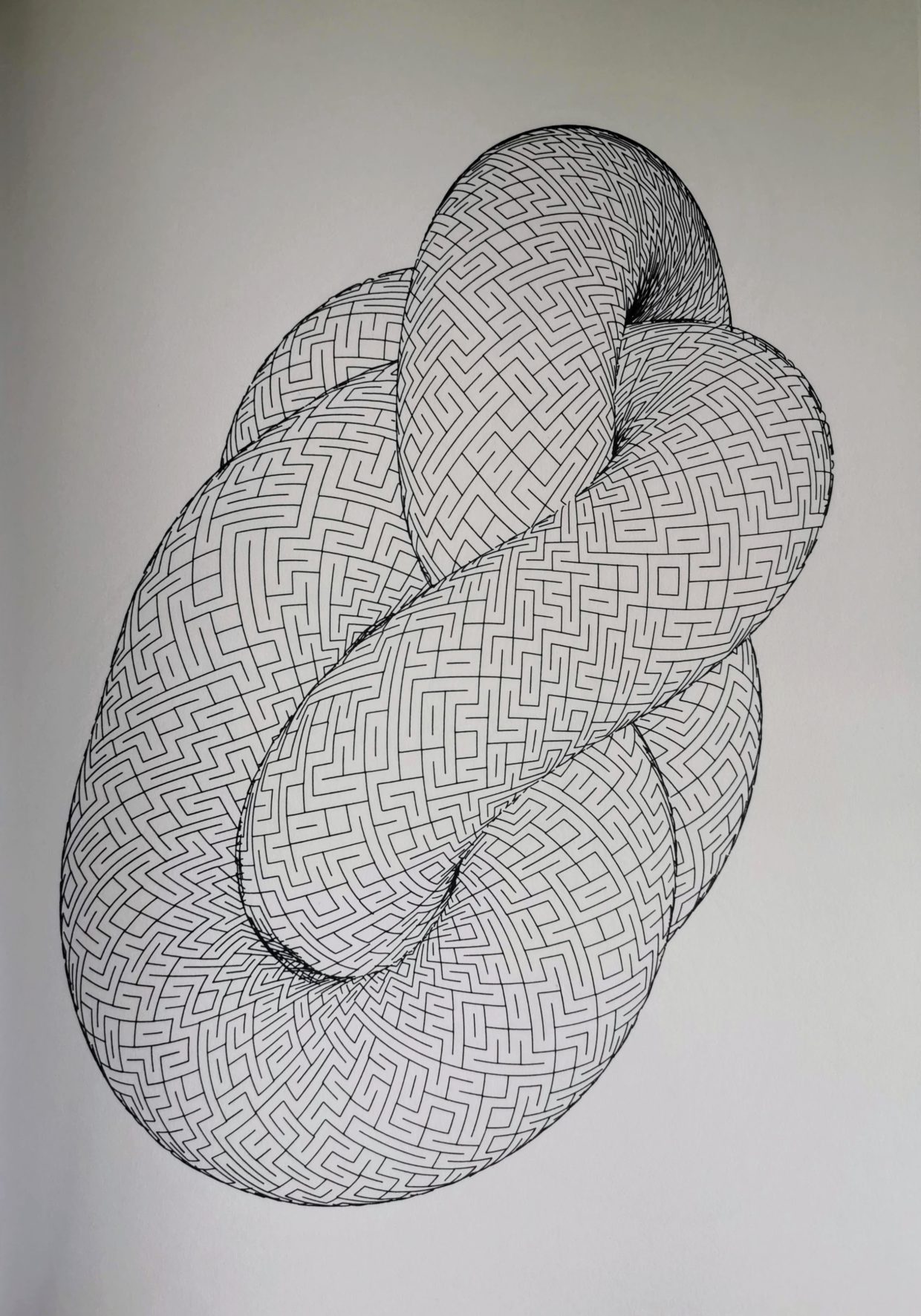 Maze Knot #510968806