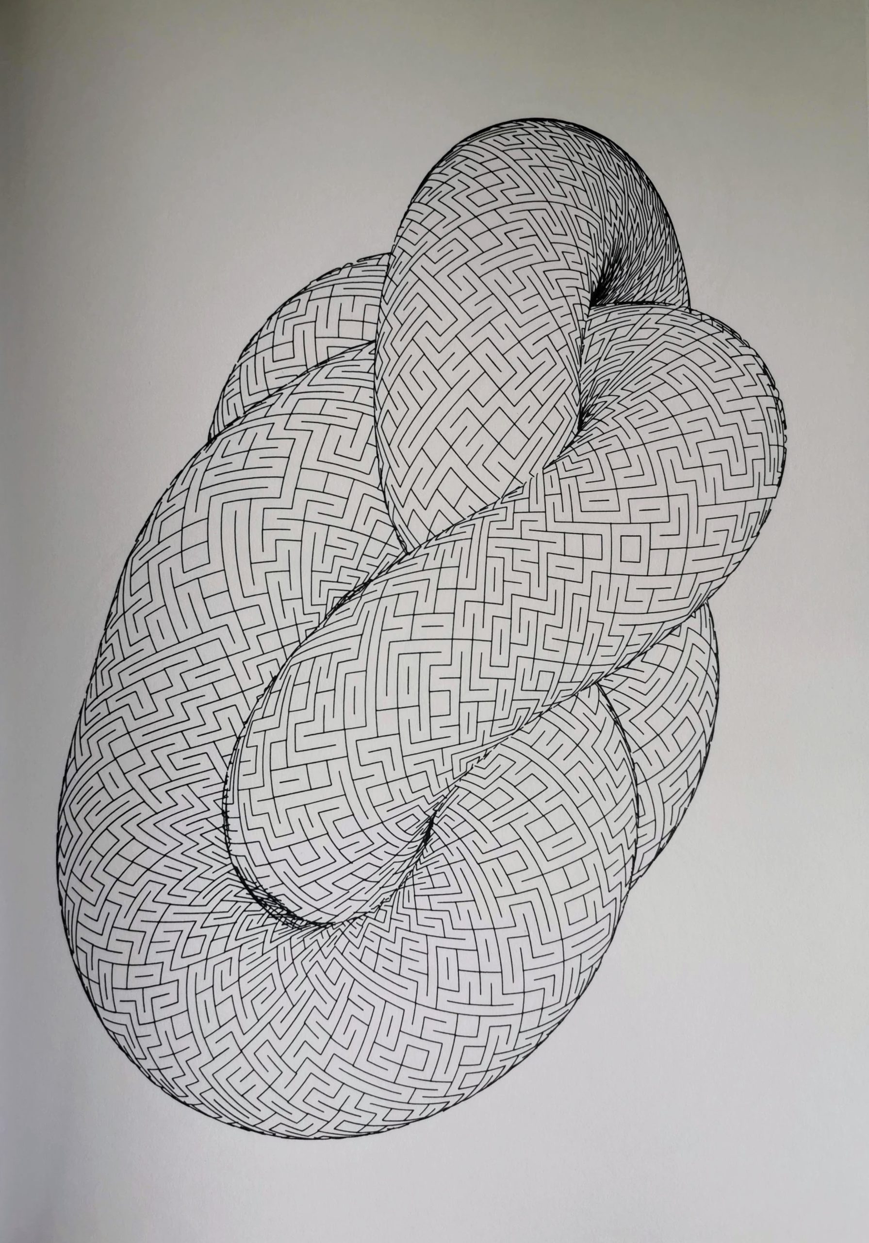 Maze Knot #510968806