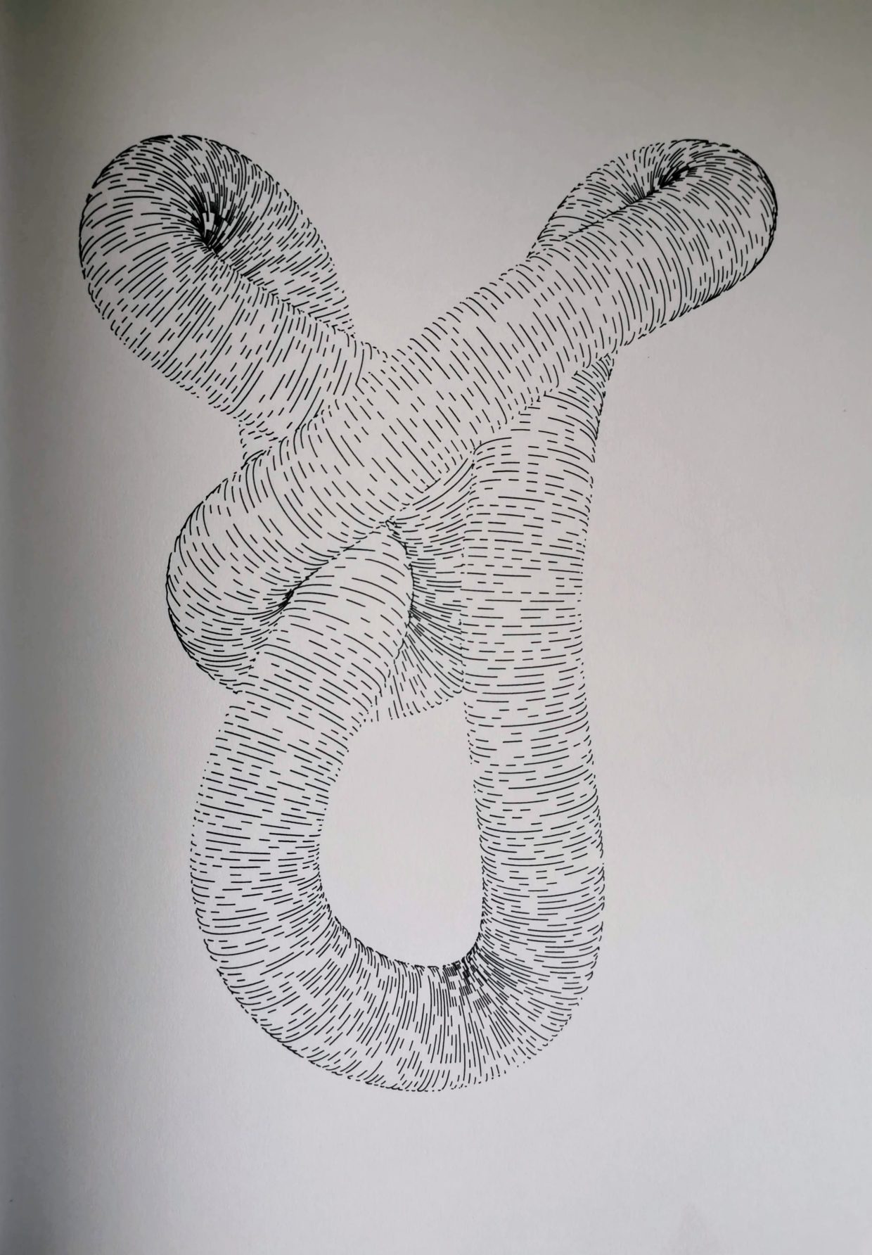 Knot #701622760