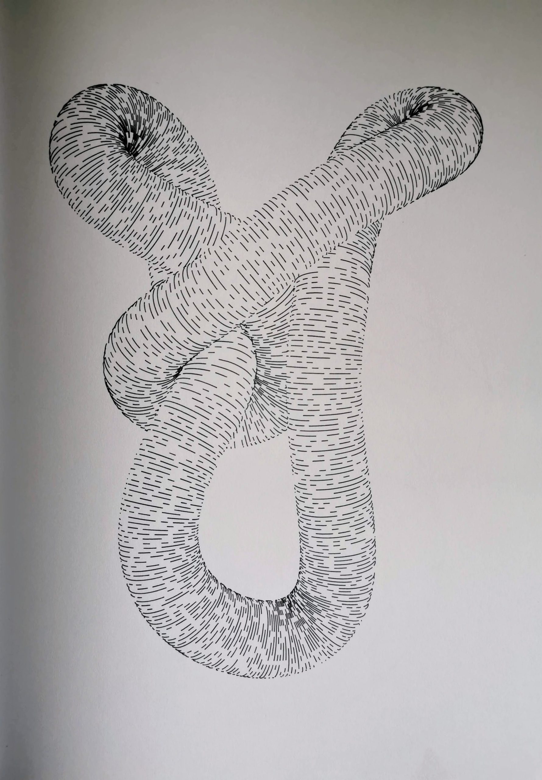 Knot #701622760