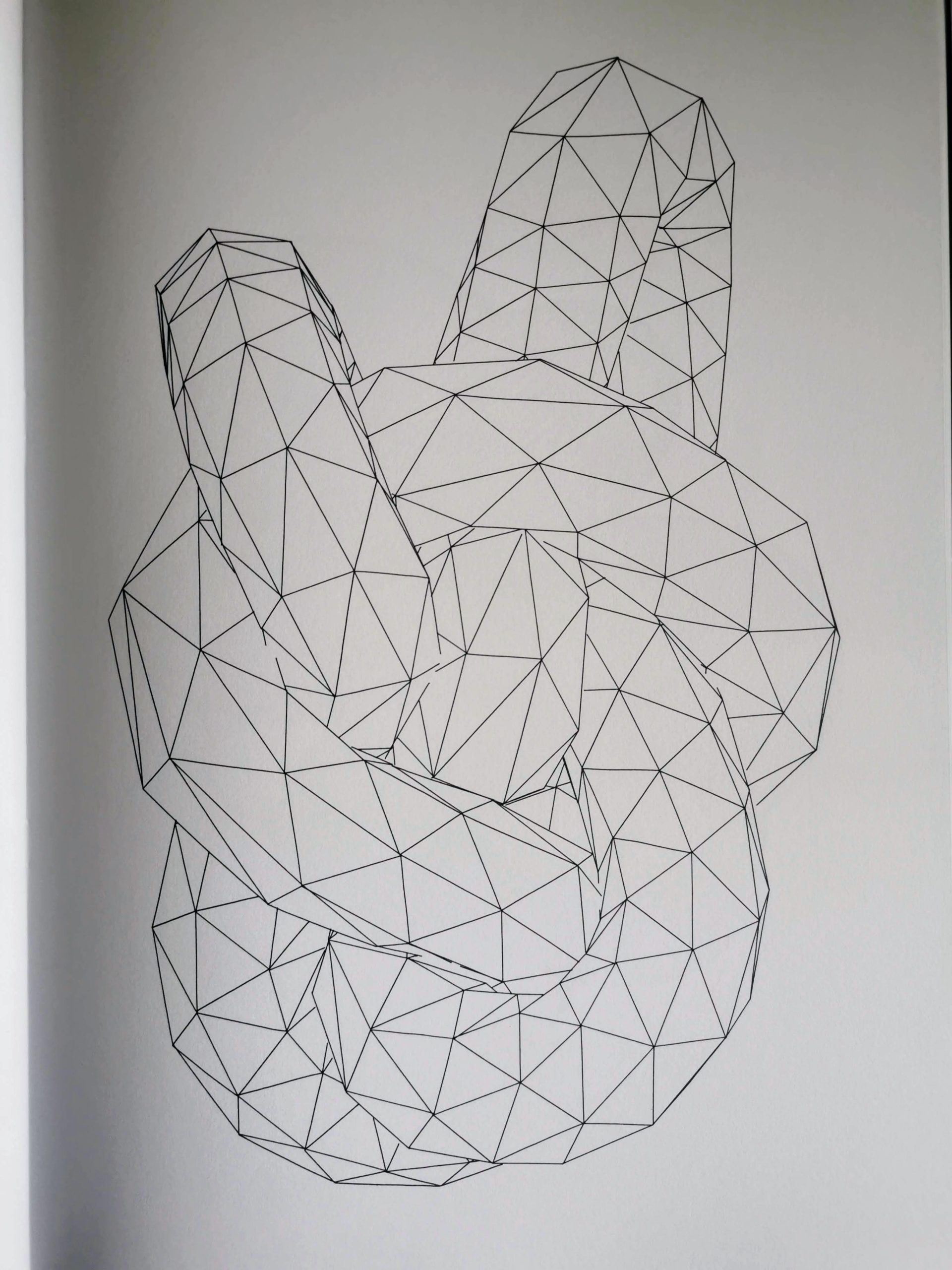 Triangulated Knot #819228499