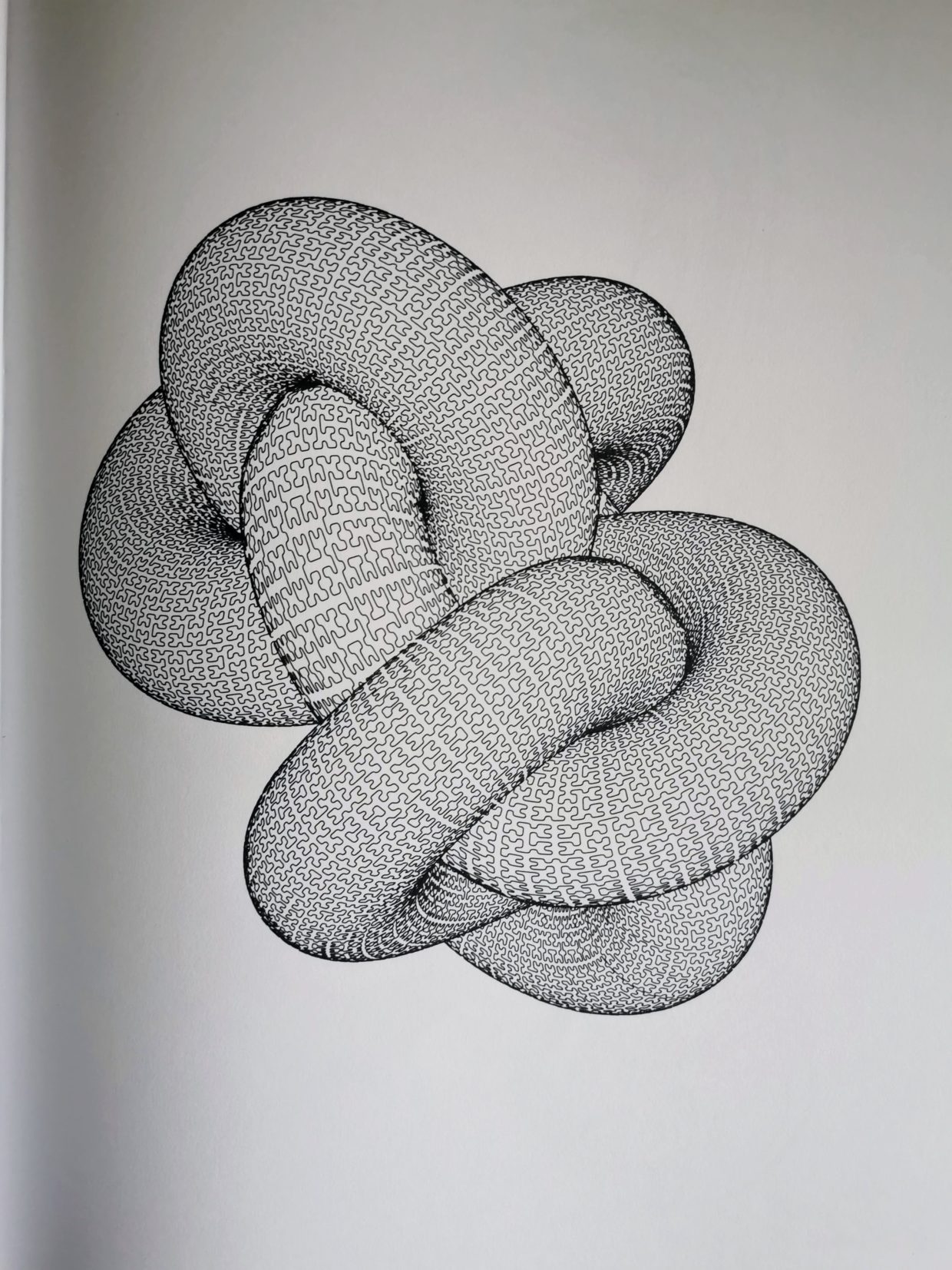 Hilbert curved Knot #403686512