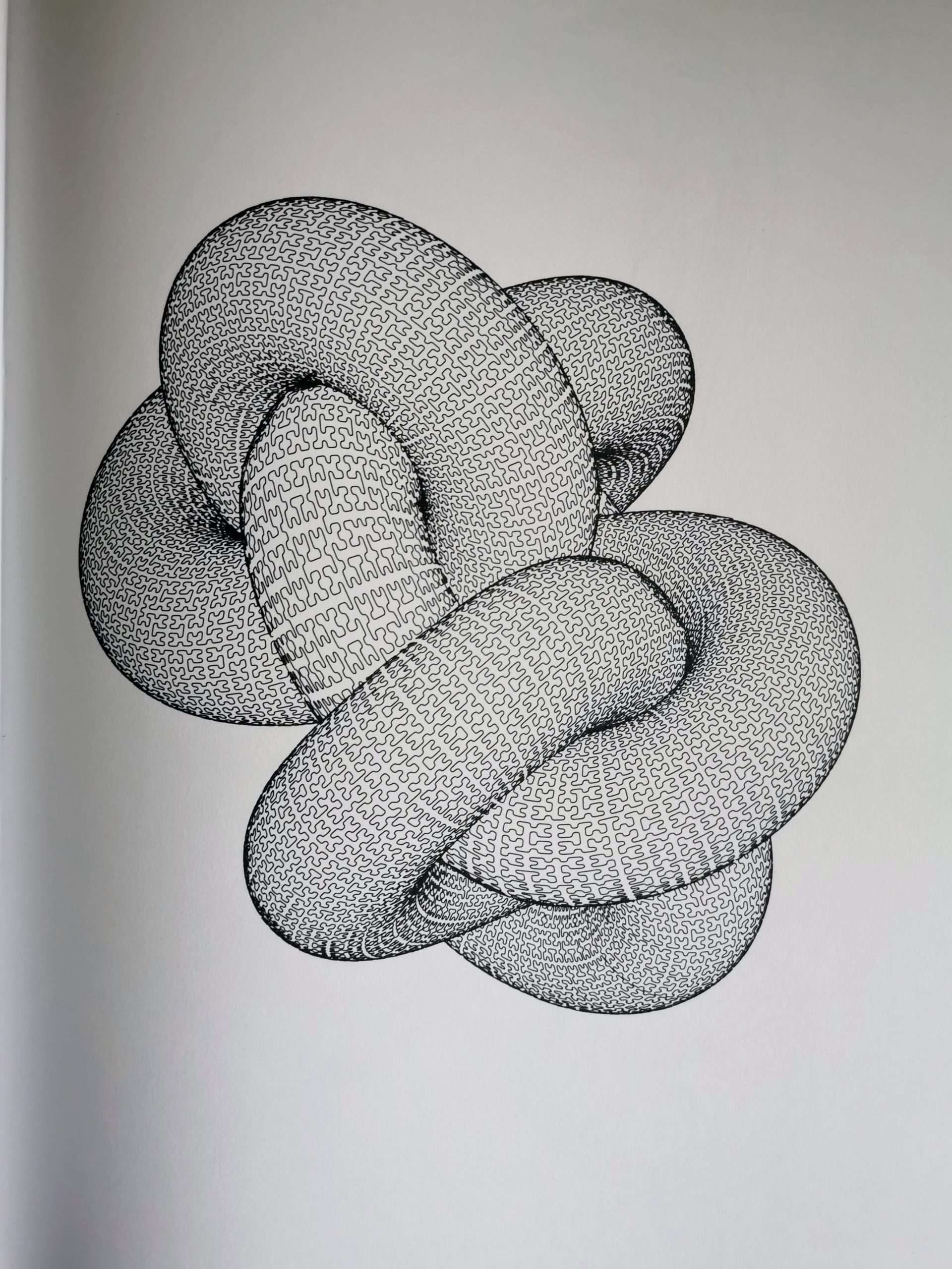 Hilbert curved Knot #403686512