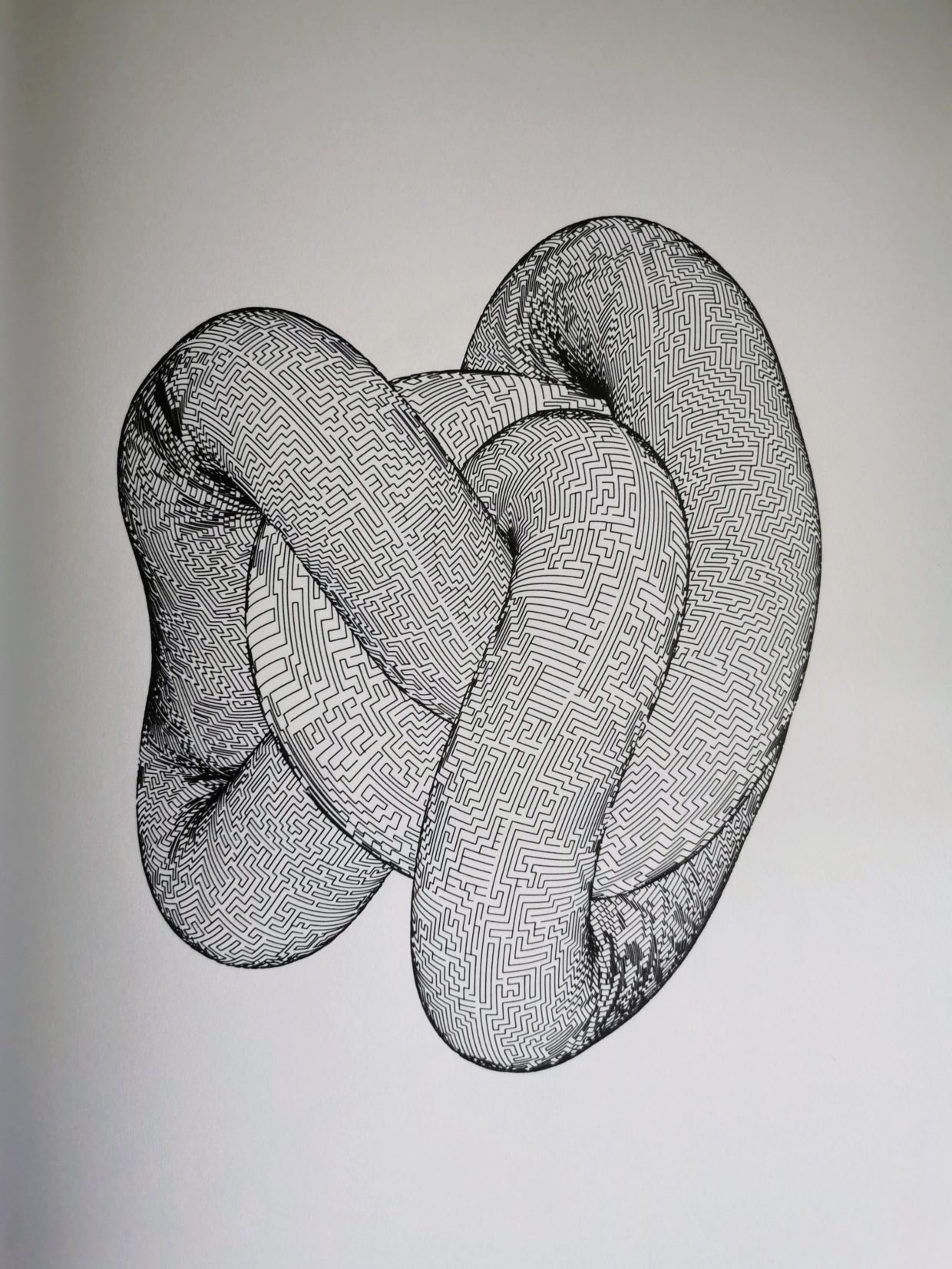 Braided knot #576581368