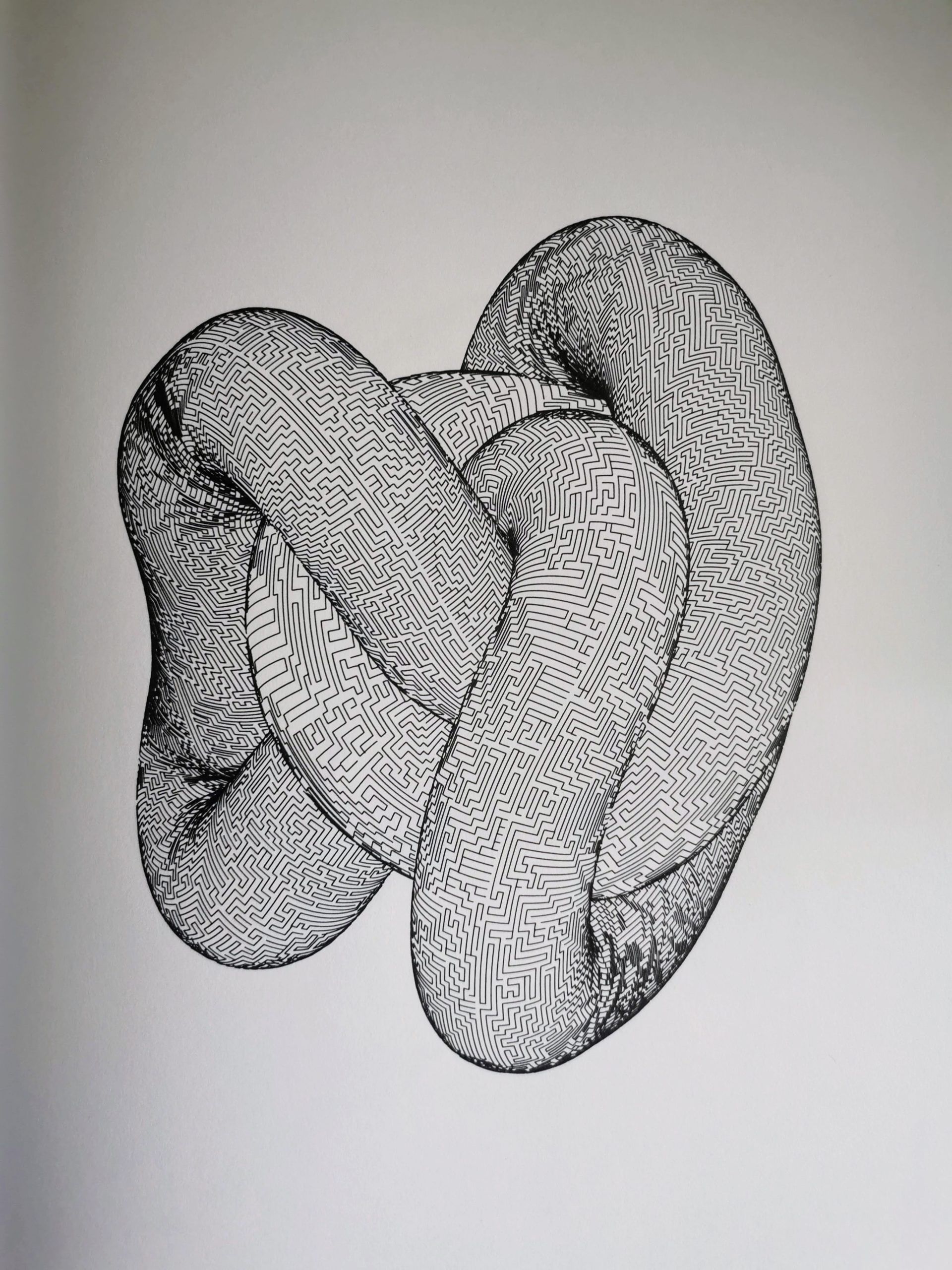 Braided knot #576581368