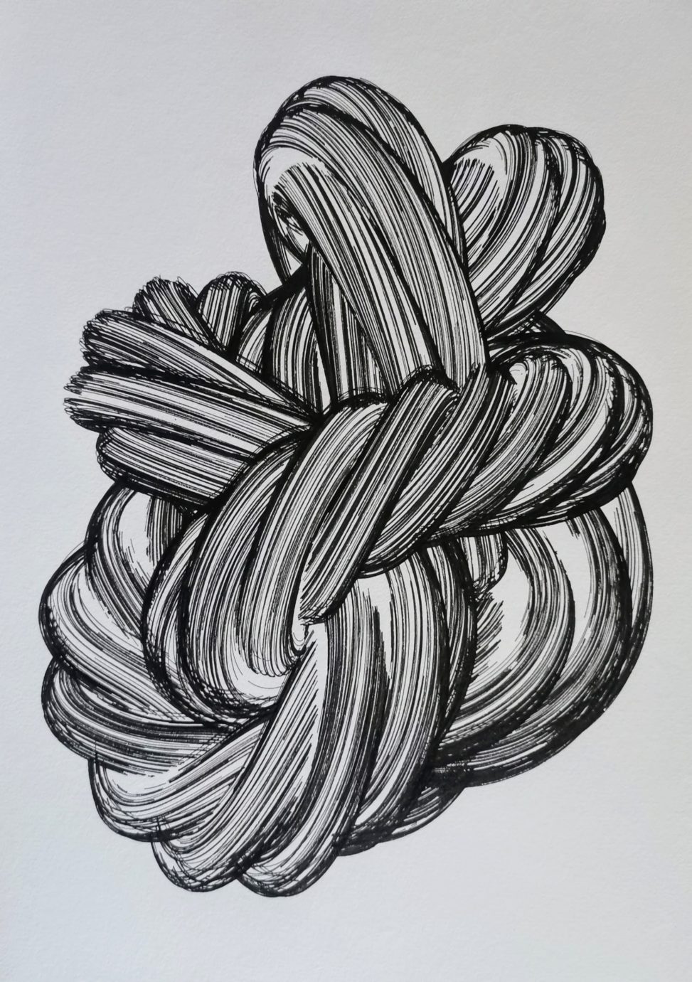 Rope Knot #127222002